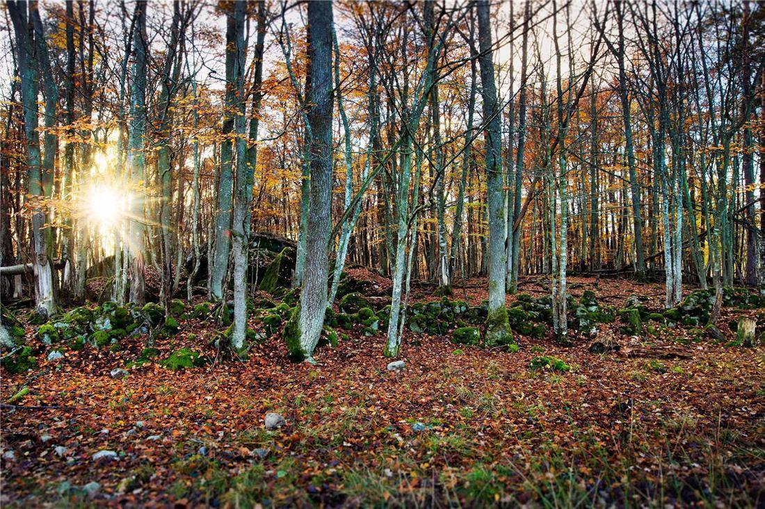 Eriksberg Hotel & Nature Reserve Trensum Extérieur photo